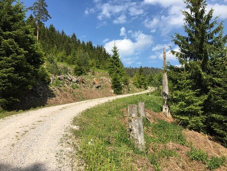 Weg zur Hornisgrinde